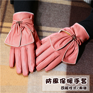 【大山野營】新店桃園 DS-334 防風保暖手套 可觸控